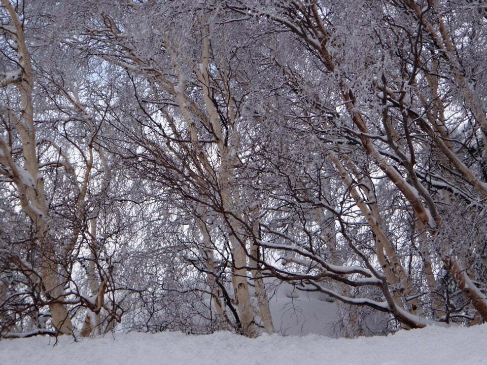 Etna sommersa di neve: alcune foto scattate oggi a Piano Provenzana - Meteo Web