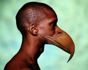 man with the beak 02