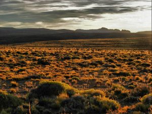 Il panorama della Pampa argentina