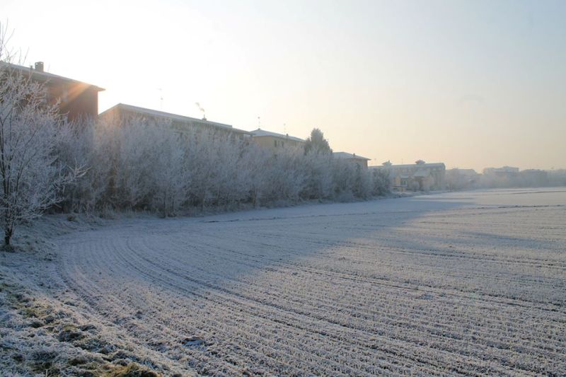 La Neve Chimica Imbianca Pavia FOTO