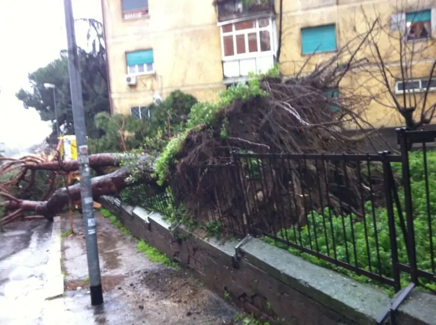 Alluvione Lampo A Roma Citt Sott Acqua Le Drammatiche Immagini Del