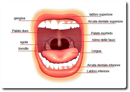 Tumore Alla Bocca Sintomi Diagnosi E Terapia