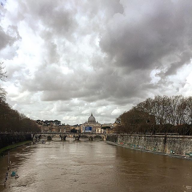 Maltempo A Roma Cresce Il Livello Del Tevere Strage Di Alberi Foto