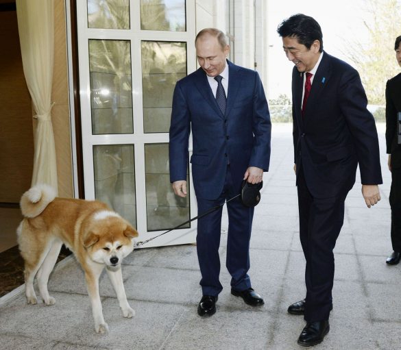 Putin mostra il cane Akita ai giornalisti giapponesi