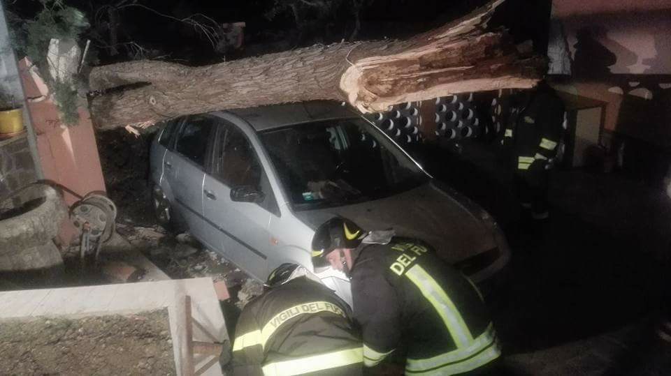 Maltempo Venti Impetuosi Al Sud Albero Crolla Su Auto Nel Messinese