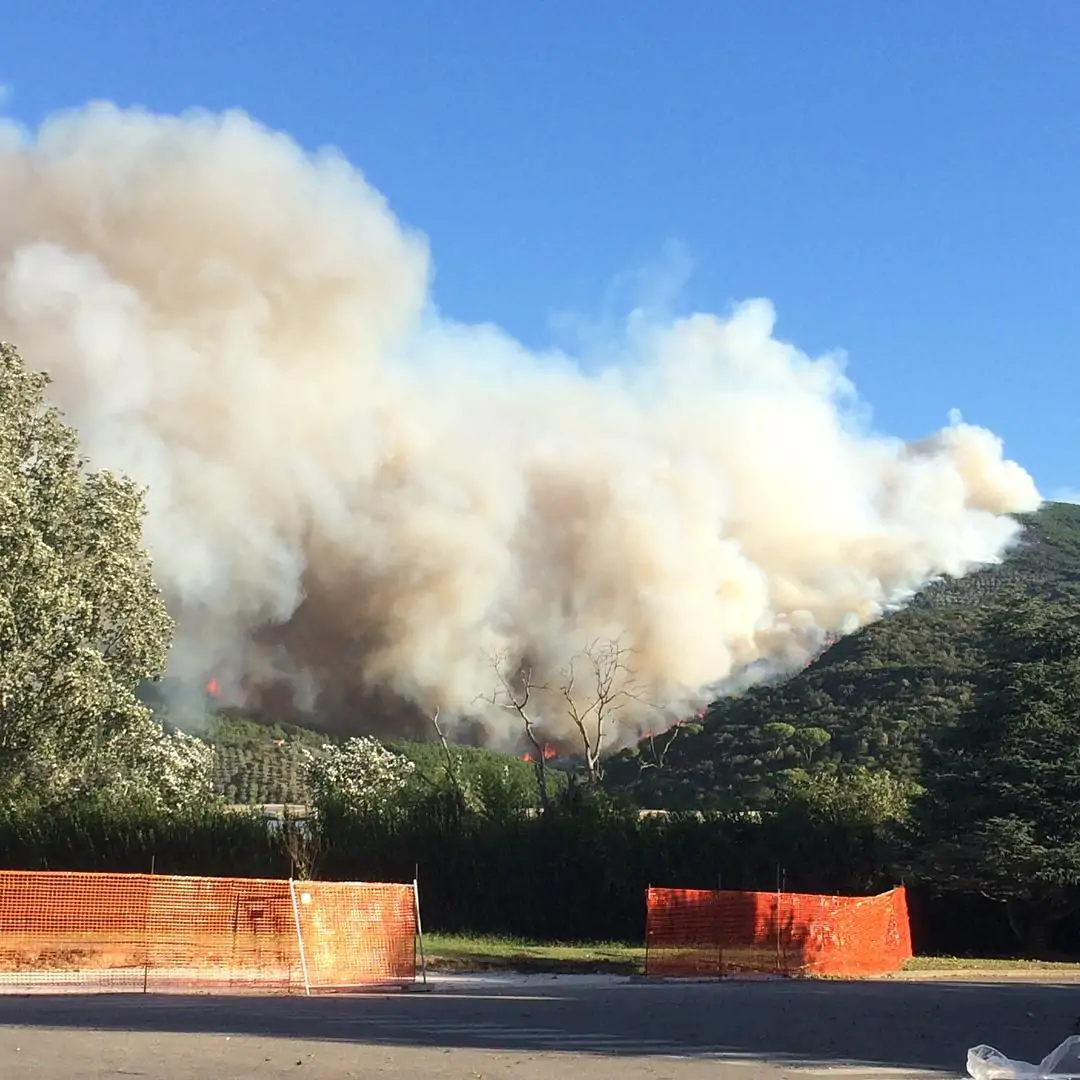 Pisa Enorme Incendio Devasta Il Monte Serra Sfollati Scenario