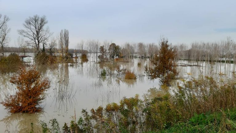 Maltempo La Piena Del Fiume Po Sta Inondando Vaste Aree Della Pianura