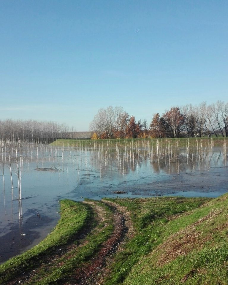 Maltempo La Piena Del Fiume Po Sta Inondando Vaste Aree Della Pianura