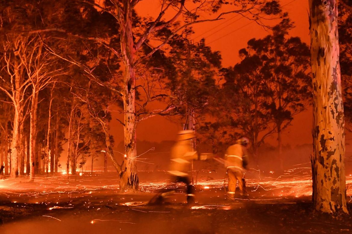 Incendi Australia Dal Mondo Del Tennis Raccolta Fondi Per Le Vittime 1135