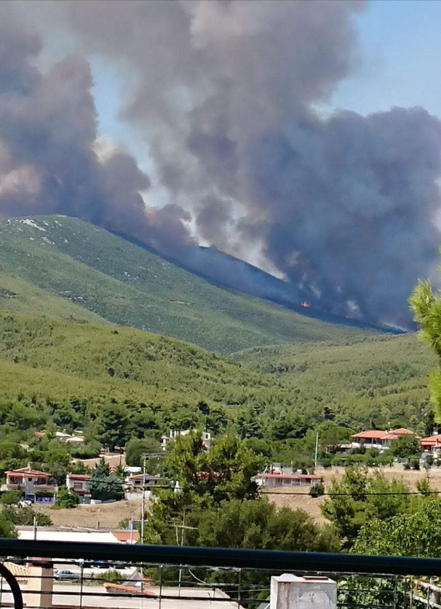 Incendi Grecia Soffocata Dalle Fiamme Salvati Mila Abitanti Di Vilia