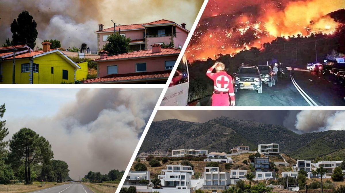 Europa Assediata Da Caldo E Incendi Migliaia Di Ettari Ridotti In