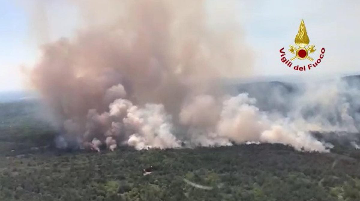 Incendio Divampa Sul Carso Aria Irrespirabile A Monfalcone Non