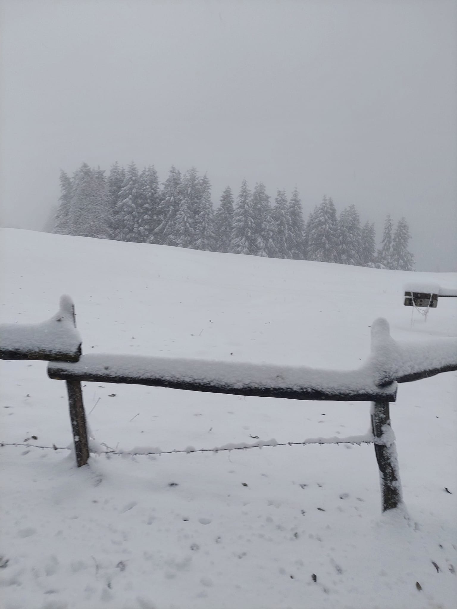 Maltempo Neve Fino A Bassa Quota In Veneto Oltre Mezzo Metro Sulle