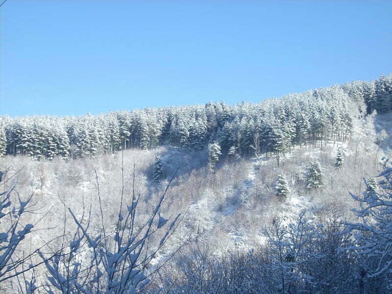 Straordinario Reportage della Sila innevata