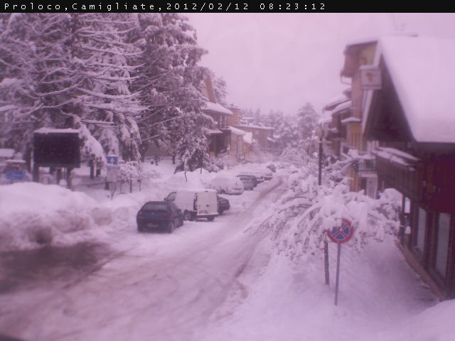 Tanta neve in Sila, e continua a cadere forte!