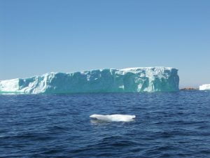 iceberg-2