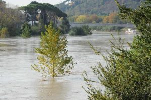 Maltempo, allerta piena del Tevere foto proto