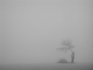 nebbia-2e78e