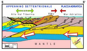 Figura 6. Sezione tettonica trasverale all’Appennino centrale. Le frecce indicano i movimenti tettonici attivi: la Val Tiberina è in una fase di distensione crostale mentre il cuneo RMU continua a scorrere lungo la “faglia Tiberina”, provocando compressione sul margine esterno appenninico, andando a sovrapporsi sulla litosfera adriatica. In corrispondenza dell’Appennino la placca europea e la microplacca Adria collidono secondo un piano di subduzione (da Mantovani et alii, 2010)