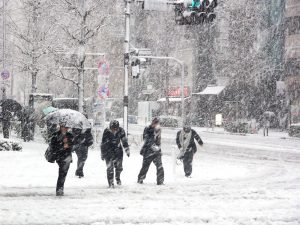 snowintokyo1