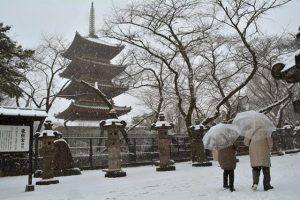 tokyo-snow-20140208