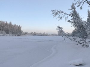 Paesaggio della taiga jacuziana durante l'inverno