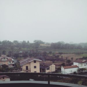 cosenza01