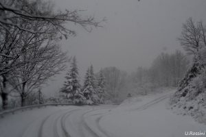 neve calabria (15)