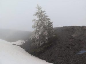 etna colata lava 2 febbraio 2015 (22)