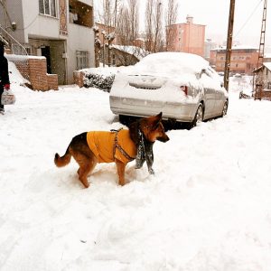 neve istanbul5