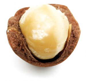 NOCE MACADAMIA