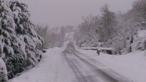 neve pollino orientale (11)