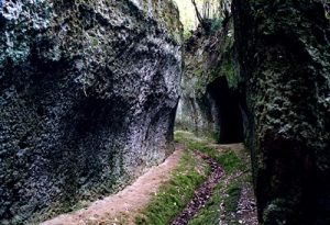 VIE%20CAVE_0