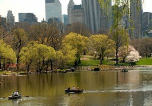 central park new york1