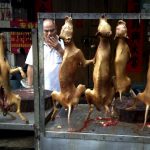 Cina: le proteste non fermano il massacro dei cani al Festival di Yulin [FOTO]