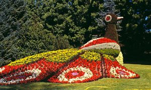 isola di mainau