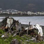 Boeing 777, trovati nuovi detriti nell’isola de La Reunion [FOTO]