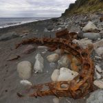 Boeing 777, trovati nuovi detriti nell’isola de La Reunion [FOTO]