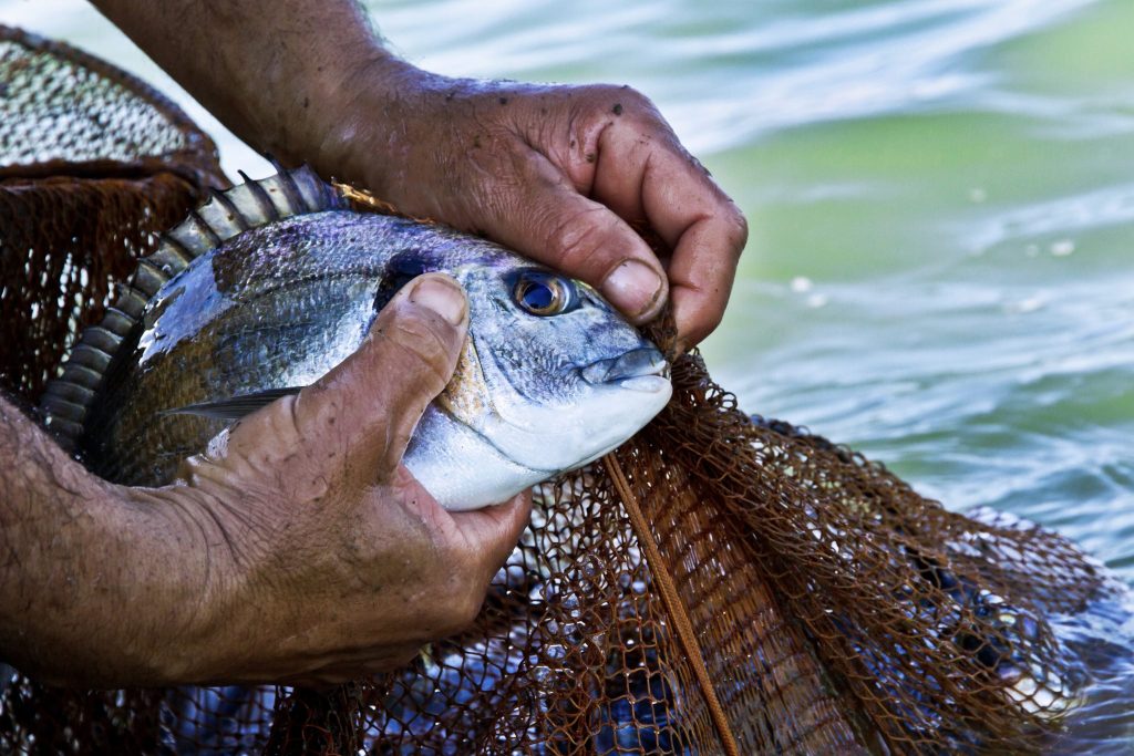 PESCATORI 1