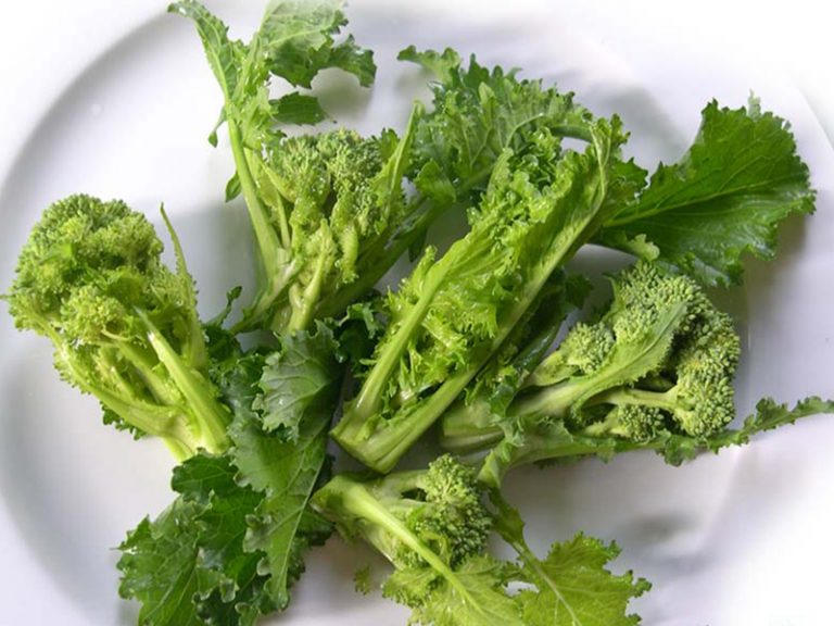 cime di rapa