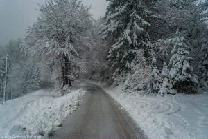 Neve Europa (9)