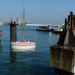 Bobbing Forest: la foresta fluttuante sullo storico porto di Rotterdam [FOTO]