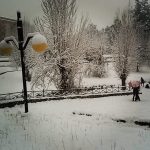 Tantissima neve in Calabria: da Cosenza a Catanzaro, è una magica “notte bianca” [FOTO]