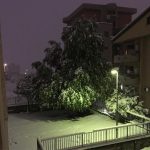 Cosenza e Rende, la grande nevicata continua con -1°C: superati i 25cm in città [FOTO e VIDEO]