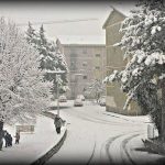 Cosenza e Rende, la grande nevicata continua con -1°C: superati i 25cm in città [FOTO e VIDEO]