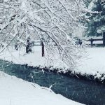 Cosenza e Rende, la grande nevicata continua con -1°C: superati i 25cm in città [FOTO e VIDEO]