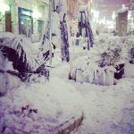 Cosenza, le FOTO della nevicata nella notte