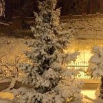 Cosenza, le FOTO della nevicata nella notte