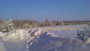 Gli accumuli di neve fresca nelle campagne della pianura russa