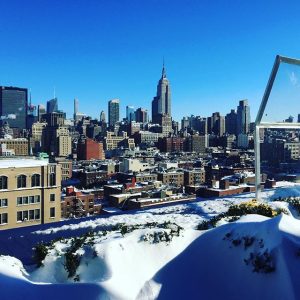 New York neve jonas blizzard gennaio 2016 (46)